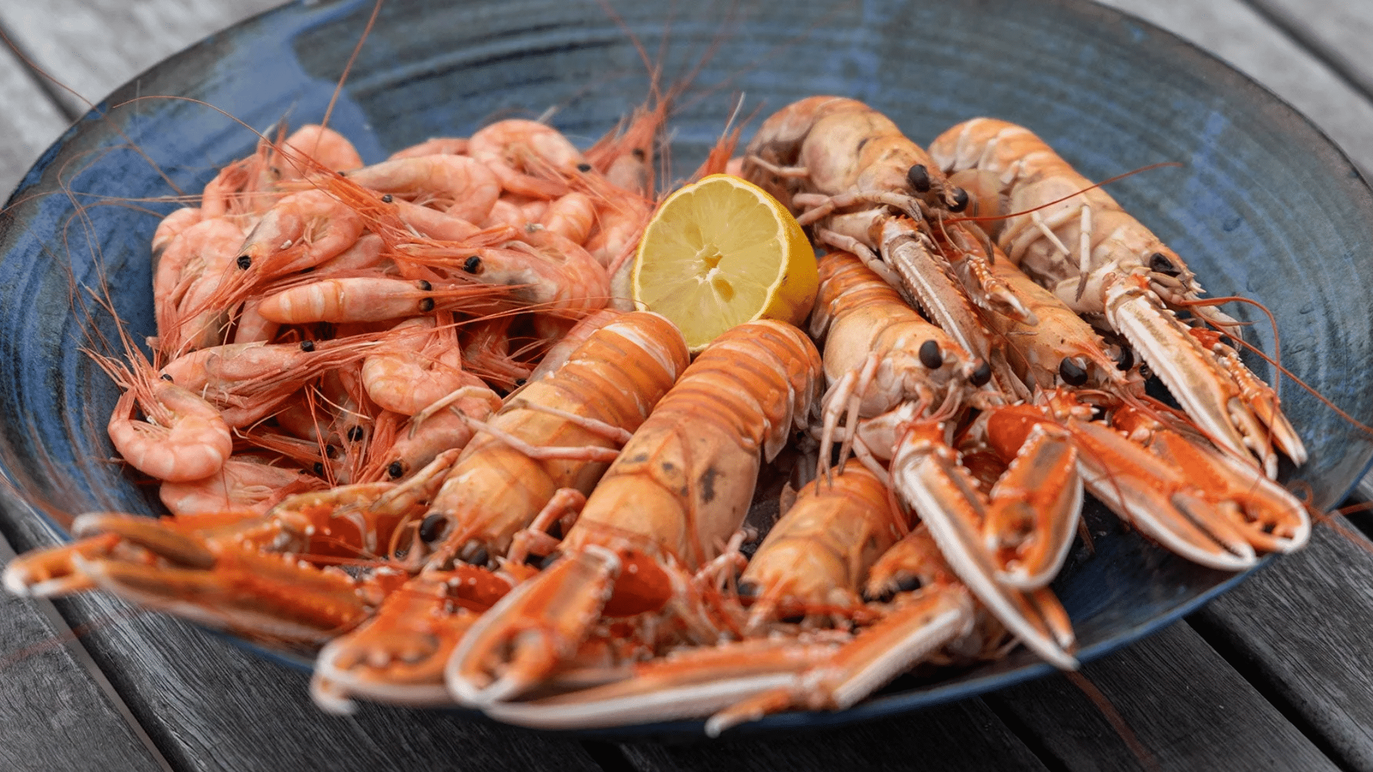 zLangoustine