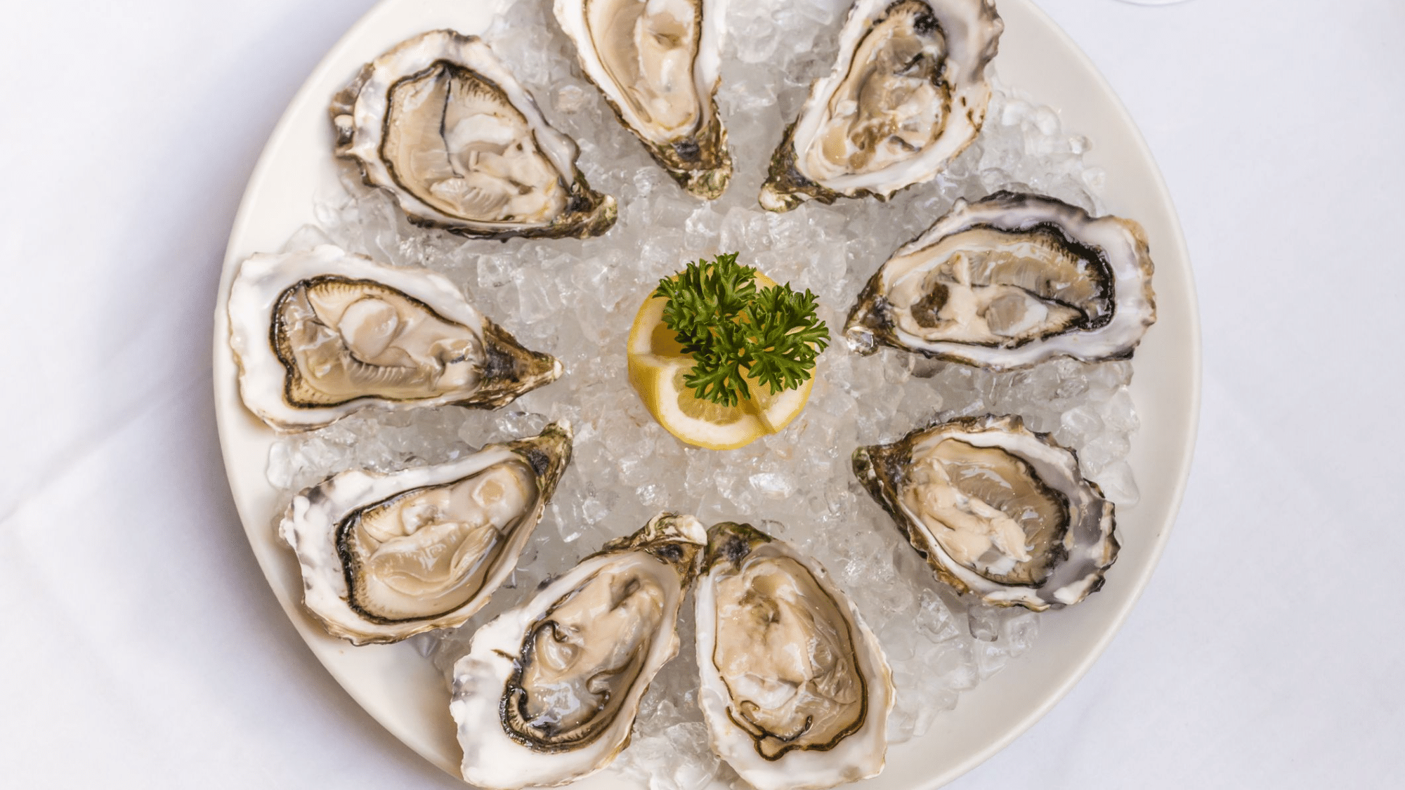 zOysters