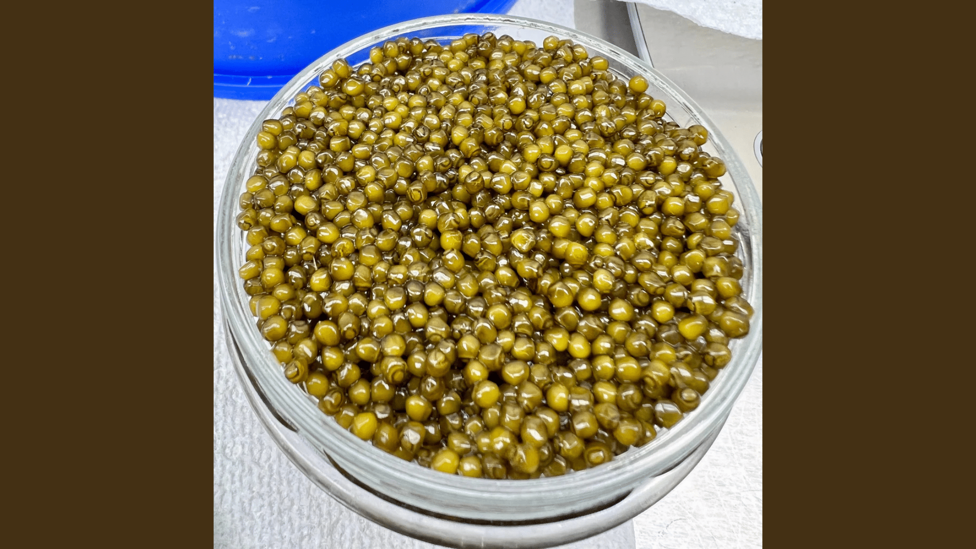 Kaluga Caviar