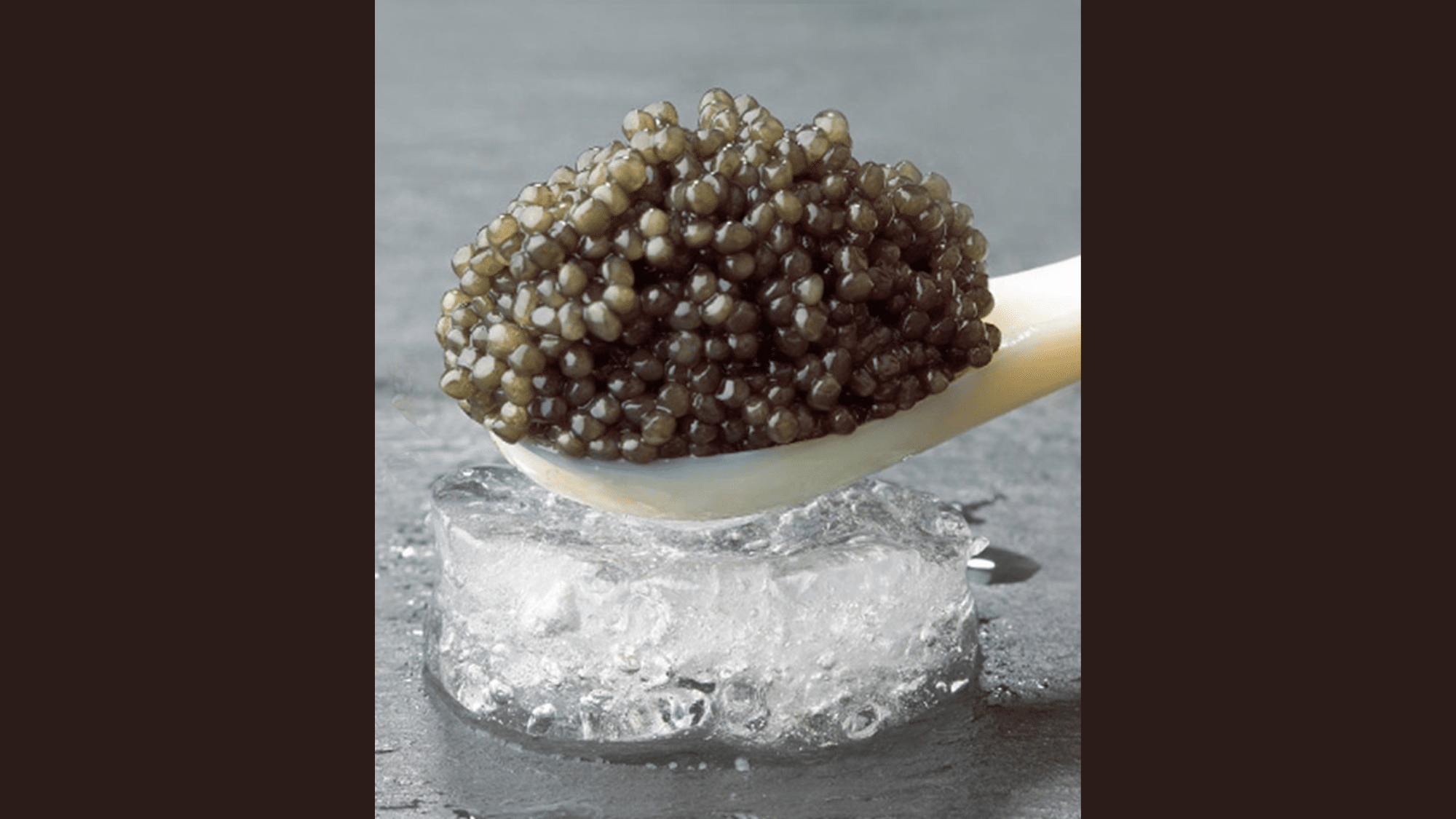 Sevruga Caviar