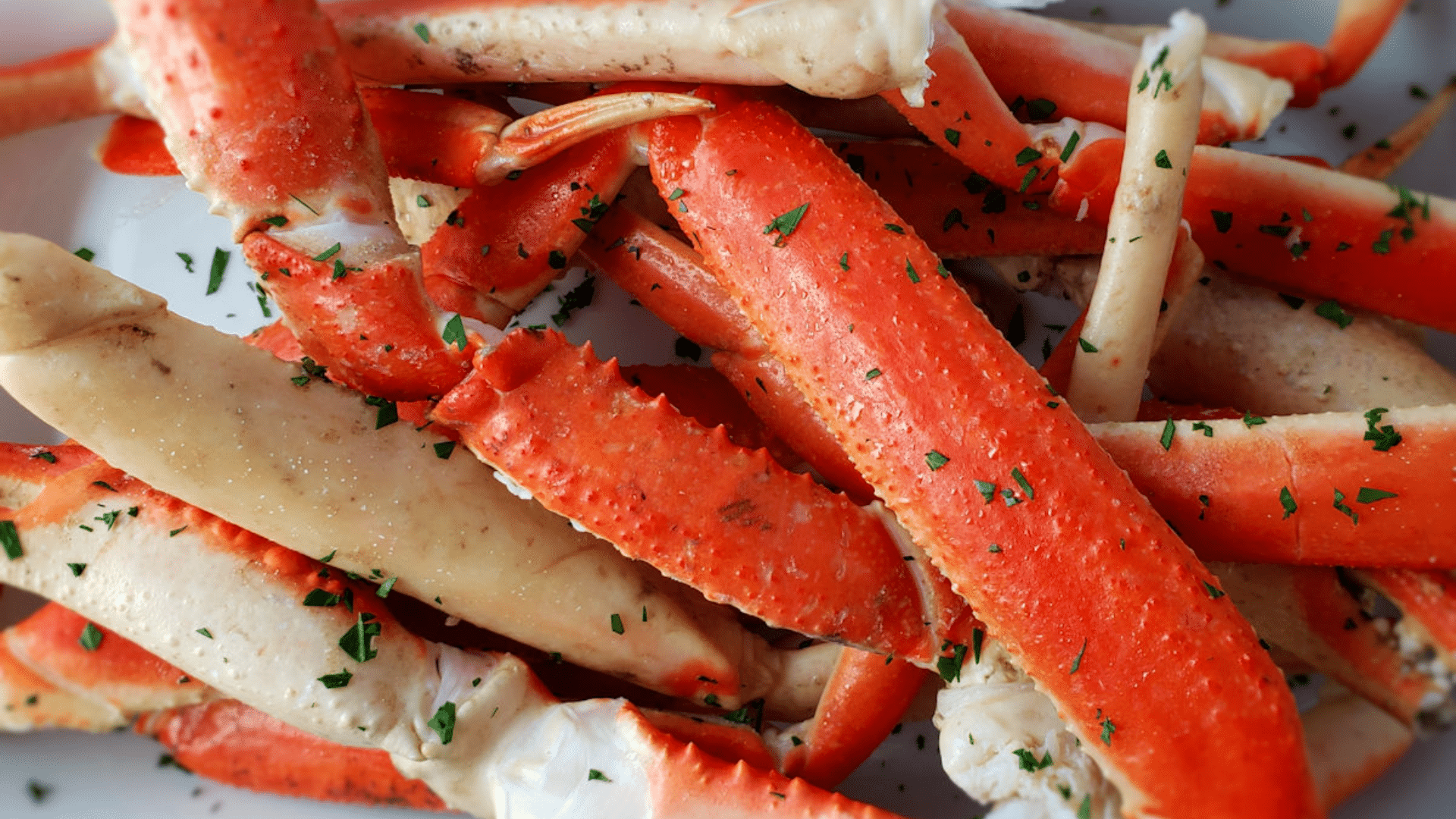 Snow Crab
